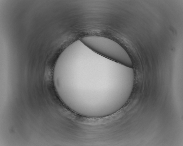 X0000111580037200908131328