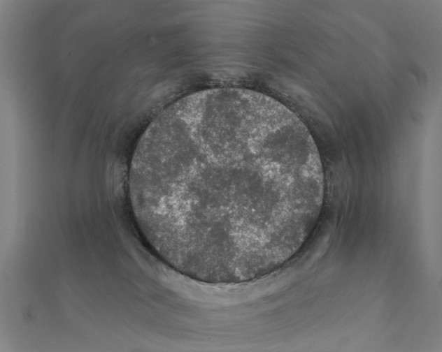 X0000111580038200908131328