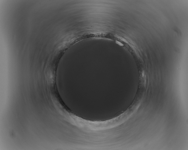 X0000111580039200908131328