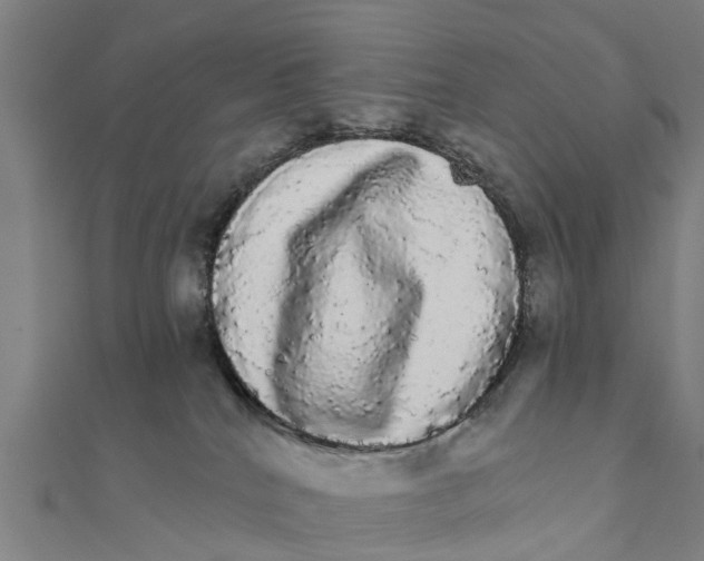 X0000111580040200908131328