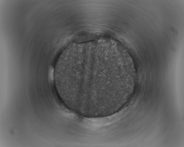 X0000111580041200908131328