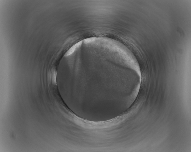 X0000111580046200908131328