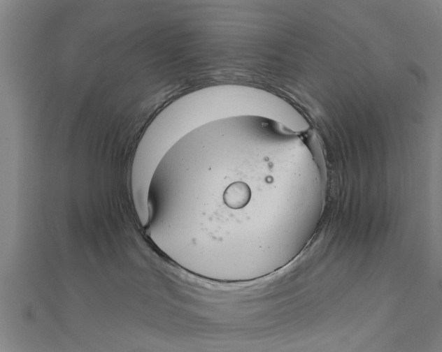 X0000111580047200908131328