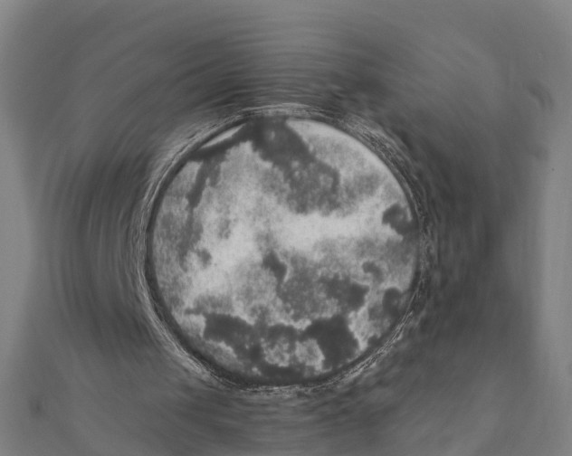 X0000111580049200908131327