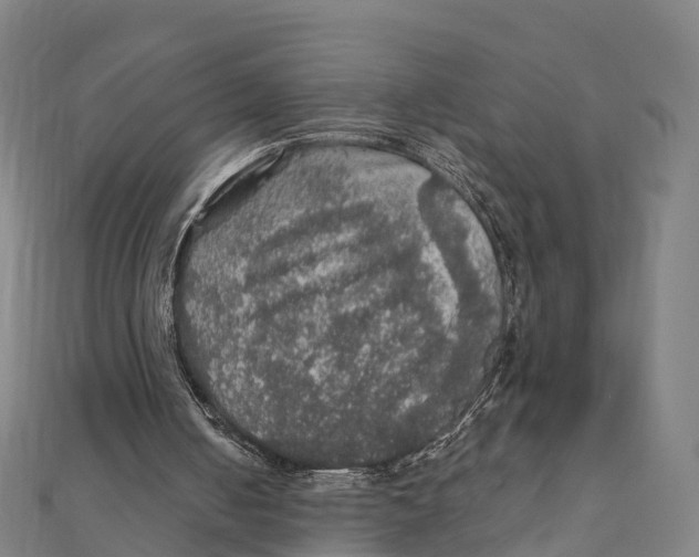 X0000111580050200908131327