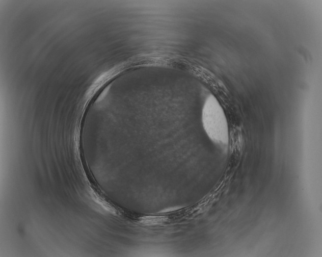 X0000111580051200908131327