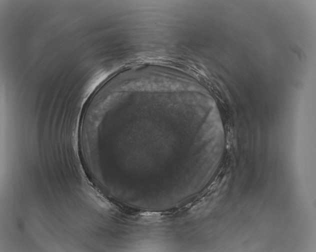 X0000111580052200908131327