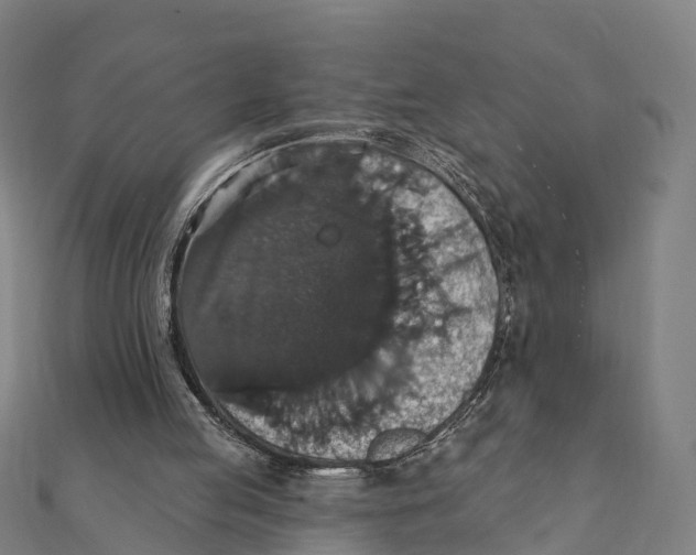 X0000111580053200908131327