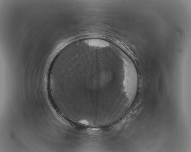 X0000111580055200908131327