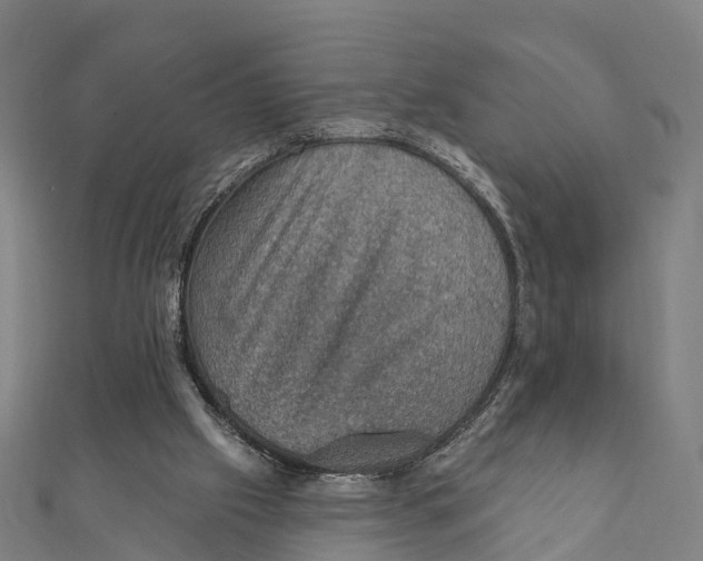 X0000111580057200908131327