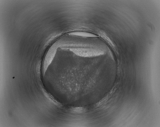 X0000111580058200908131327