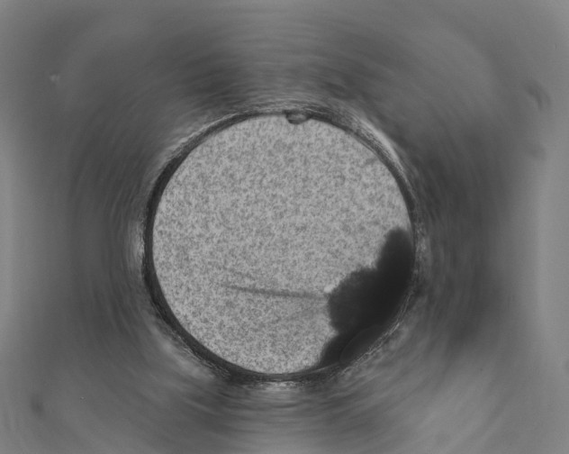 X0000111580059200908131327