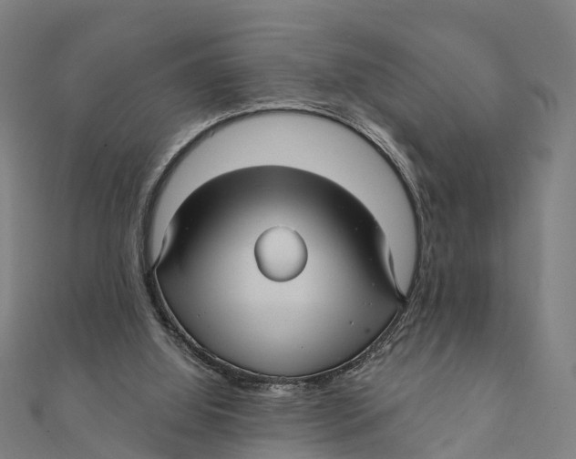 X0000111580060200908131327