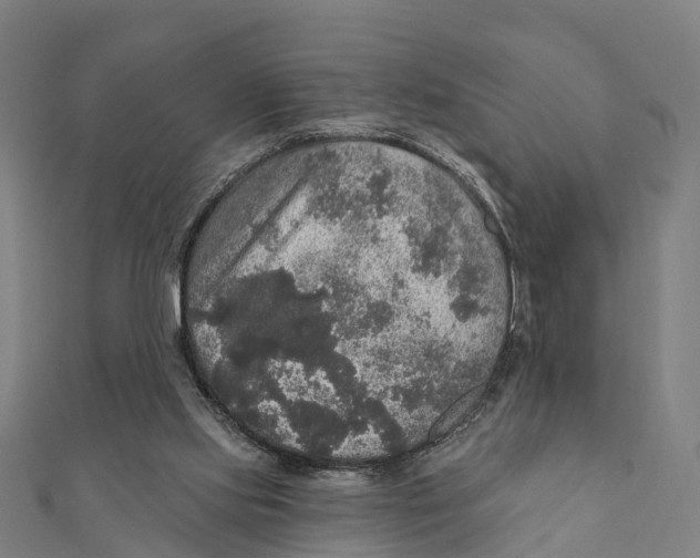 X0000111580061200908131327