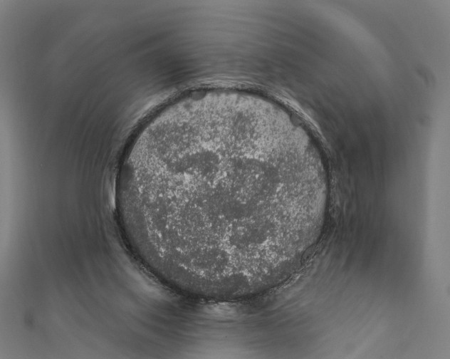 X0000111580062200908131327