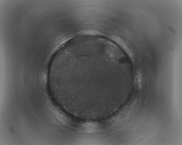 X0000111580063200908131327