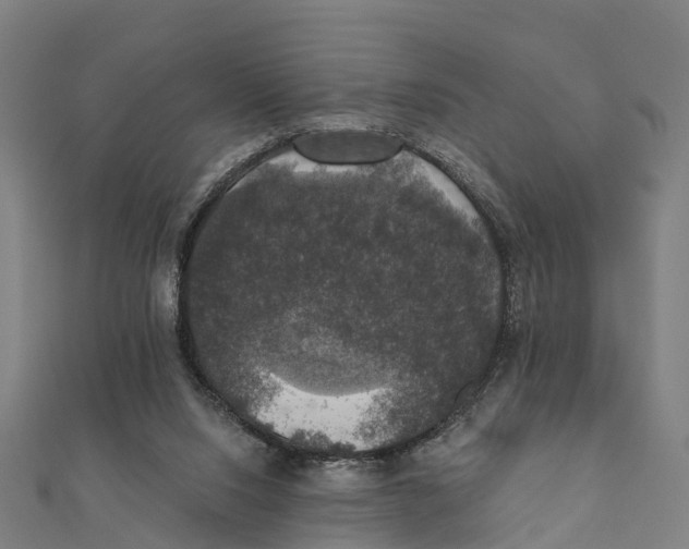 X0000111580064200908131327