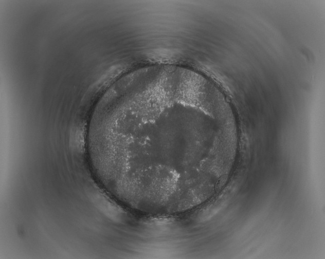 X0000111580065200908131327