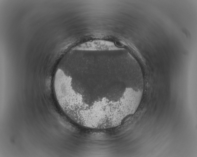 X0000111580066200908131327