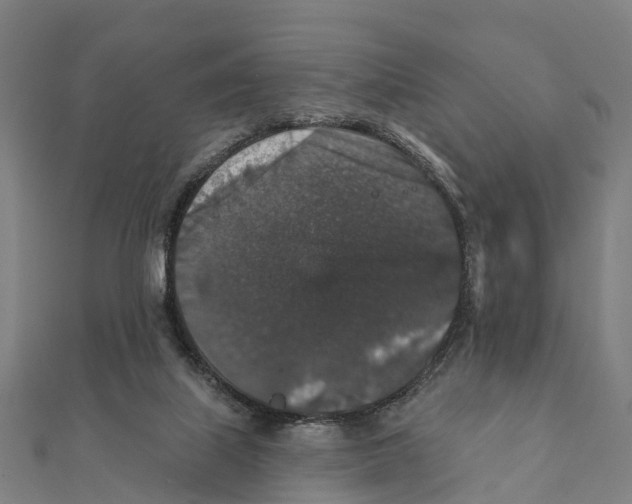 X0000111580067200908131327