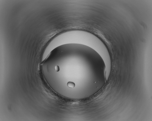 X0000111580068200908131327