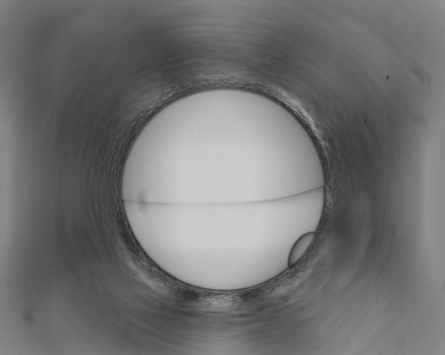 X0000111580069200908131327