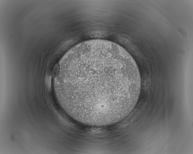 X0000111580070200908131327