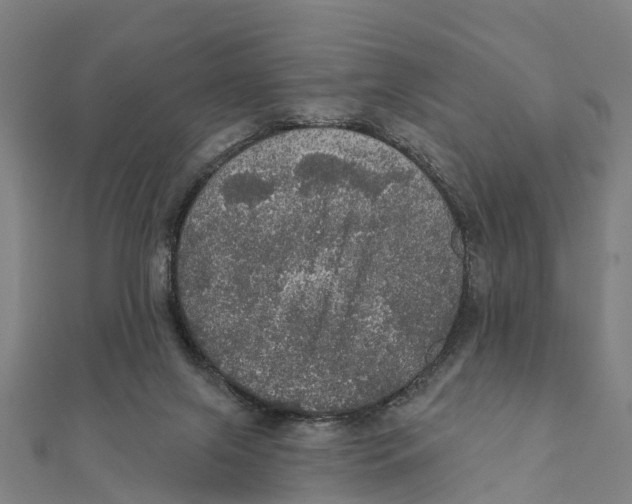 X0000111580071200908131328