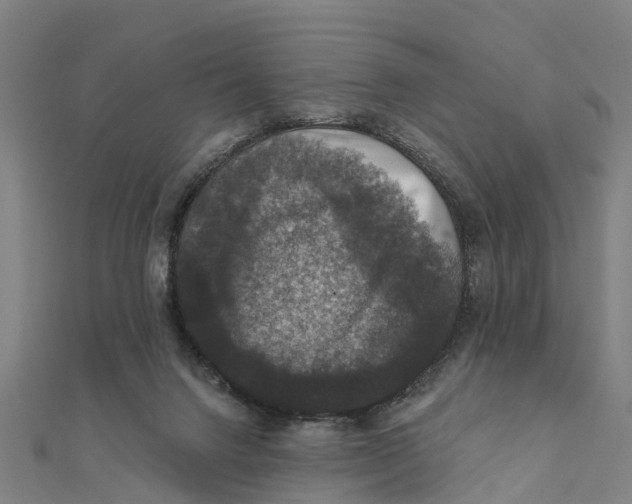 X0000111580072200908131328