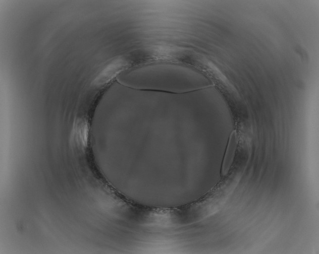 X0000111580076200908131328