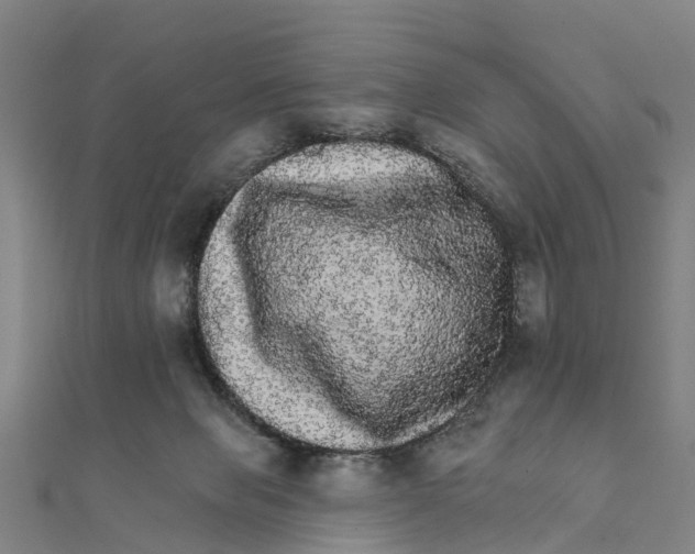 X0000111580077200908131328