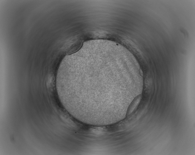 X0000111580079200908131328