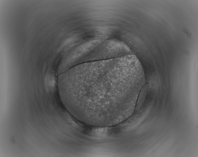 X0000111580084200908131328