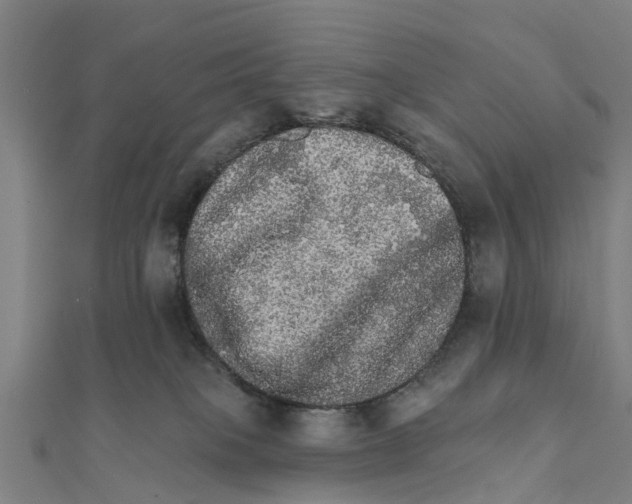 X0000111580085200908131328