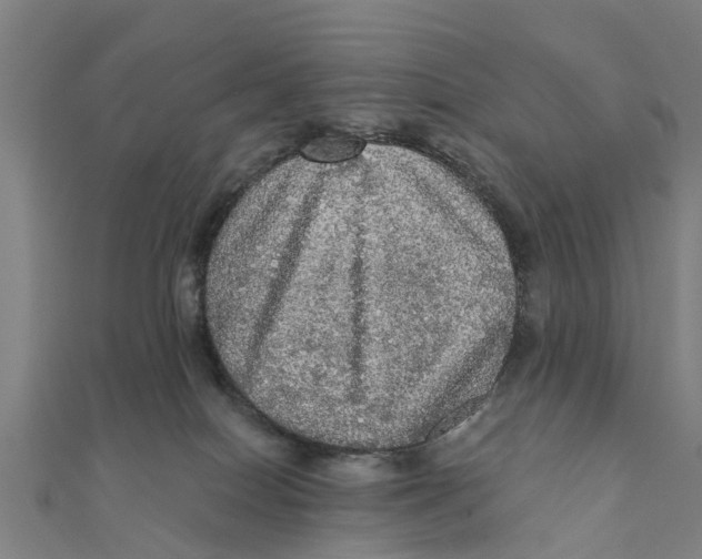 X0000111580086200908131328