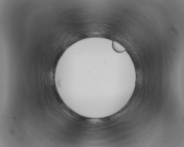 X0000111580087200908131328