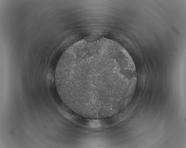 X0000111580091200908131328