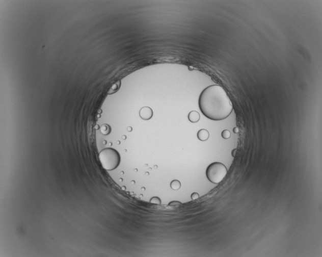 X0000111580093200908131328