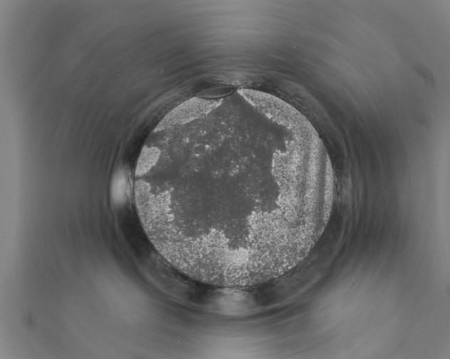 X0000111580095200908131328