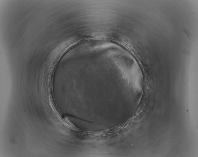 X0000111580097200908131327