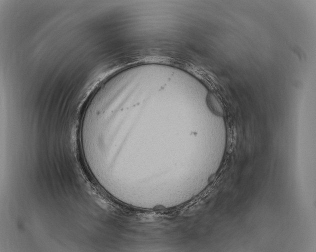 X0000111580098200908131327