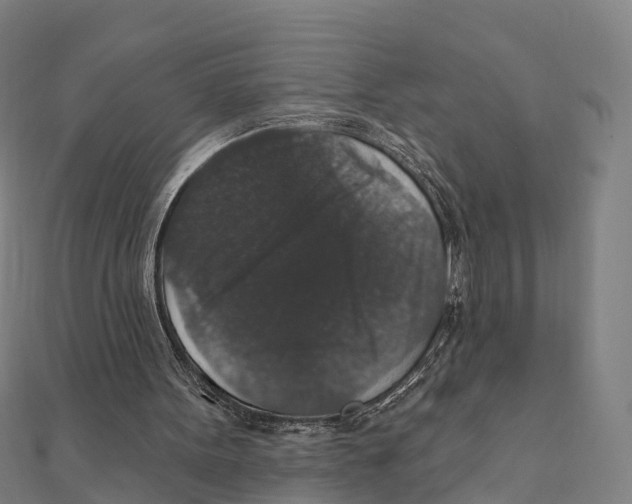 X0000111580099200908131327