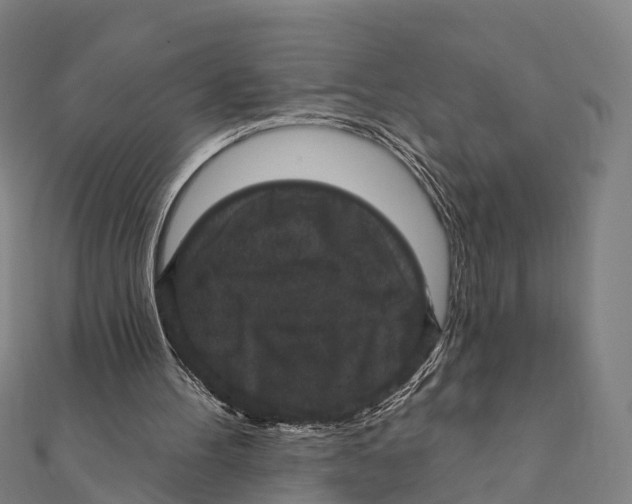 X0000111580100200908131327