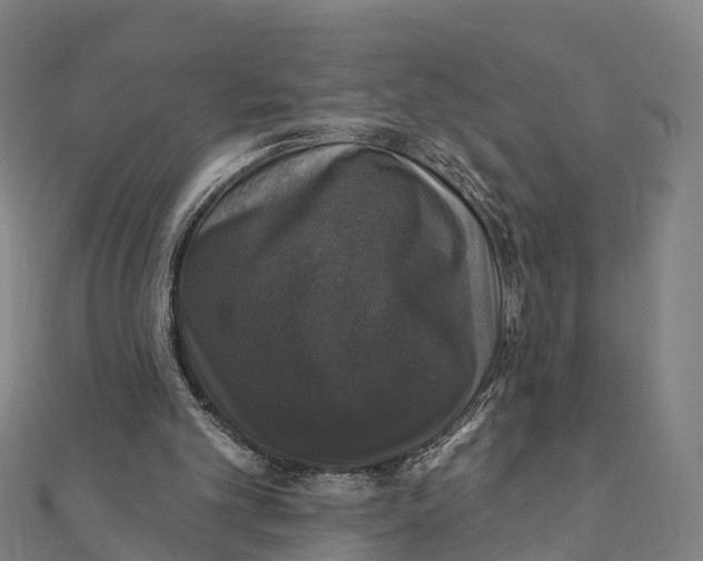 X0000111580101200908131327