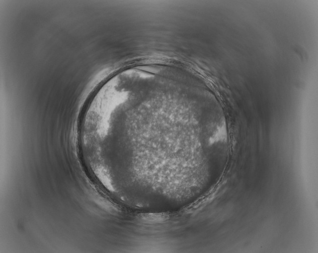 X0000111580102200908131327