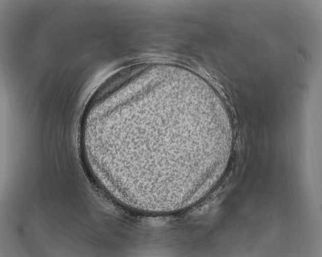 X0000111580103200908131327