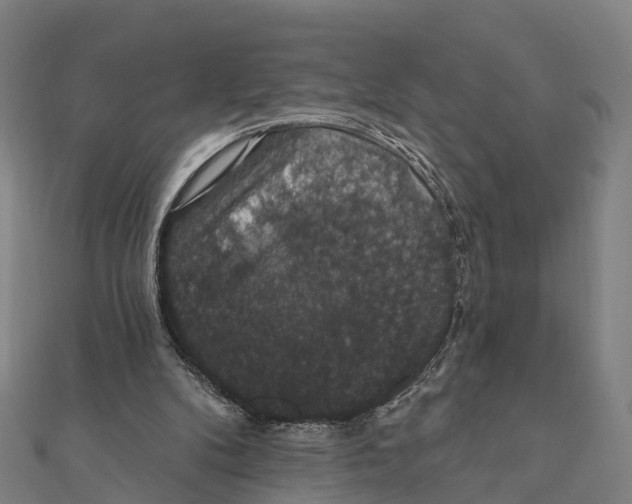 X0000111580104200908131327