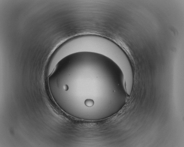 X0000111580108200908131327