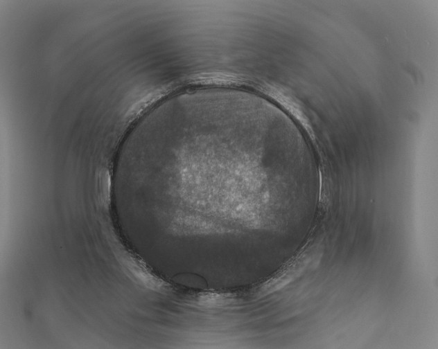 X0000111580109200908131327