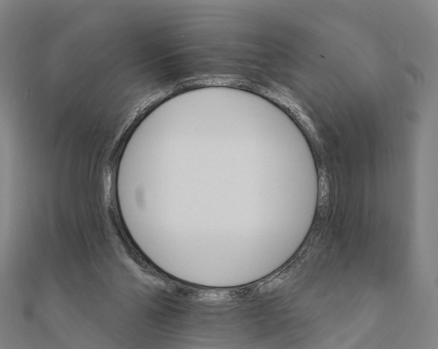 X0000111580110200908131327